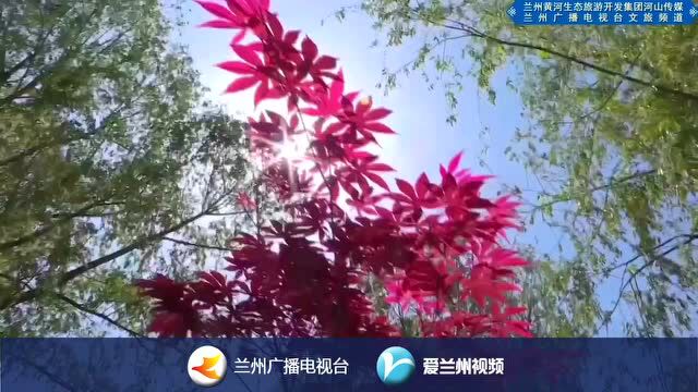 唯有牡丹真国色%20花开时节动“金”城.