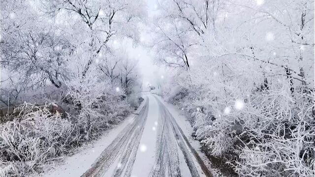 唯美雪景唯美意境实景拍摄下雪w