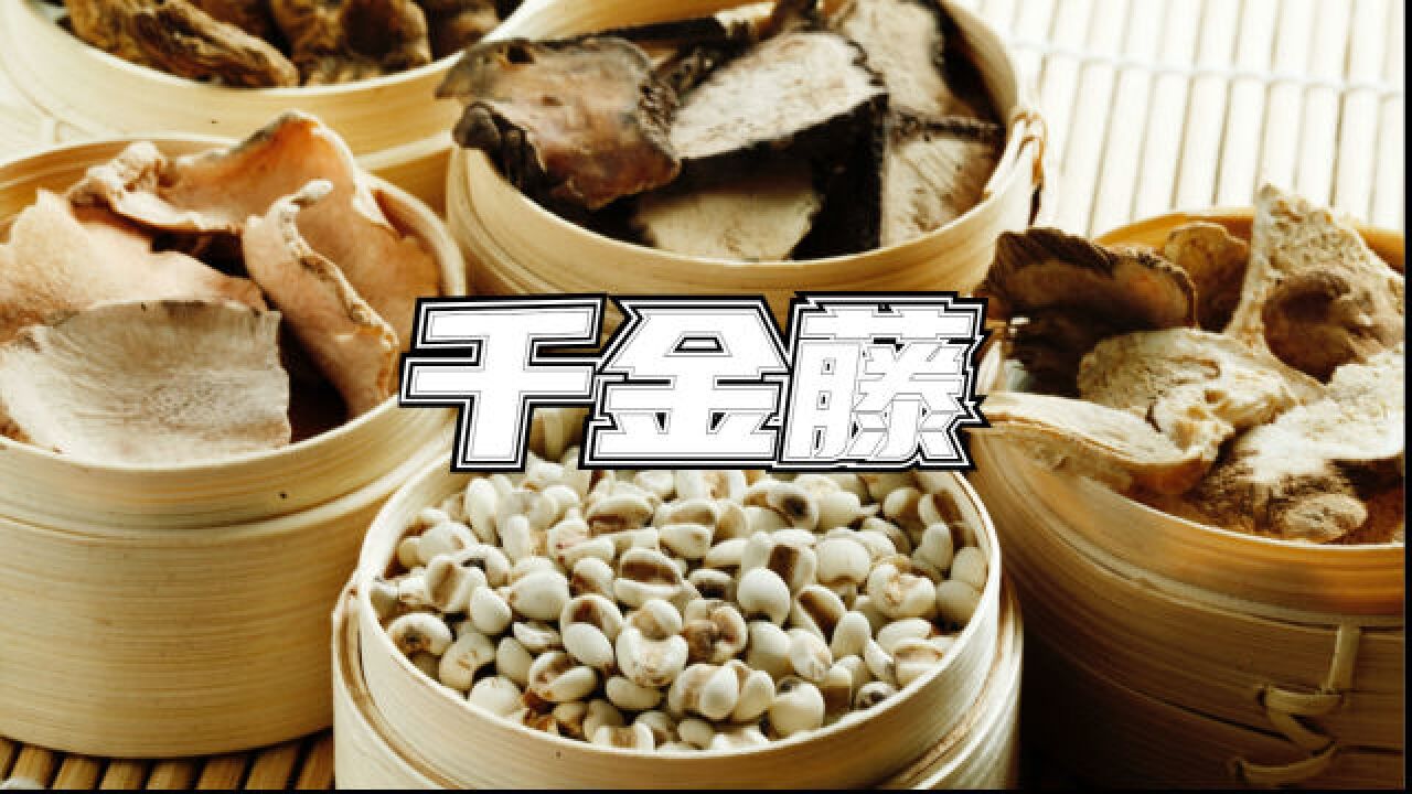 知识普及:千金藤素原料“千金藤”是什么?千金藤有什么作用?【视频版】