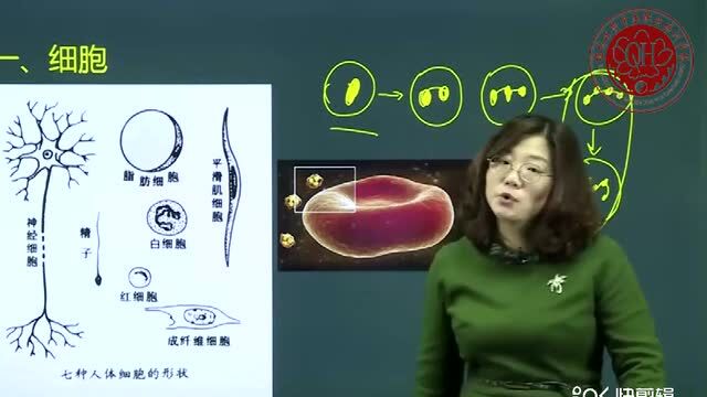 广东广州深圳报考高级《健康管理师》技能等级证书.中医艾灸培训 中医针灸培训广州华手教育怎么样?