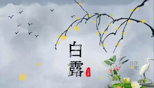 二十四节气——白露