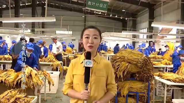 关注丨六盘水全力推动重大工程项目建设!事关多条高速、机场、水库……