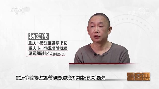 《零容忍》球书记”杨宏伟案