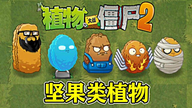 pvz2:坚果类植物,中文版vs国际版,有何不同?