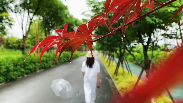 下雨天怎么给自己拍摄情绪小短篇,几个小技巧教会你