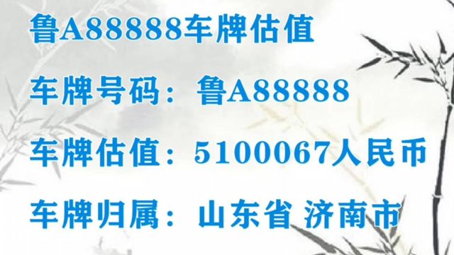 山东省的88888车牌价值