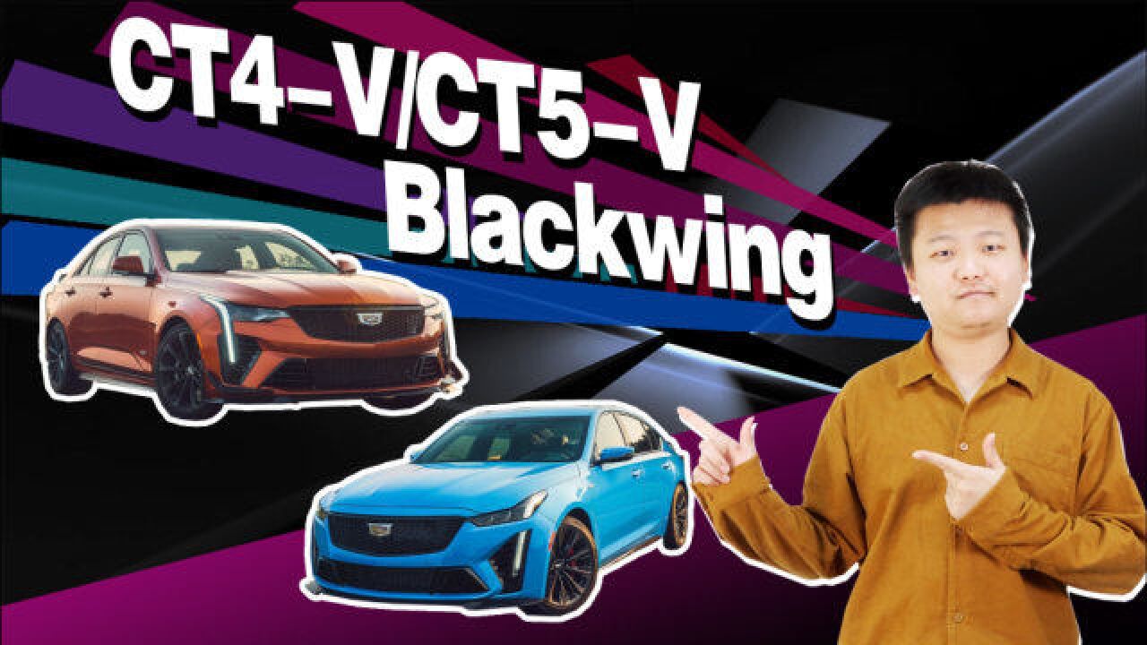 CT4V/CT5V Blackwing引进国内 不卖个一百来万对不起发动机