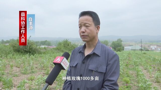 县科协“2022年度农业实用技术培训班”开班