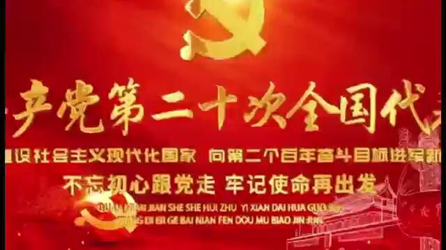 仲达支部分公司杨斌(我的自白书)