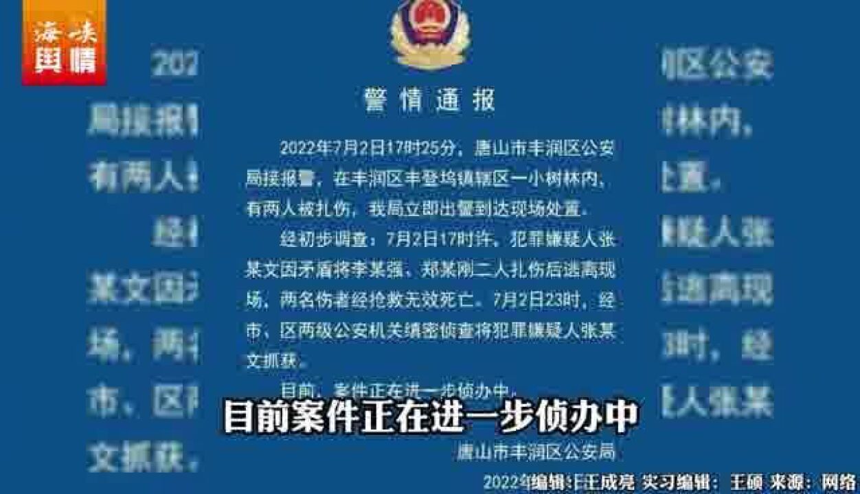 “小树林内两人遇害”,唐山丰润警方通报