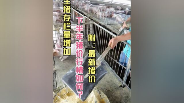 生猪存栏量增加,下半年猪价行情如何?附:7月18日最新猪价#生猪价格 #猪价