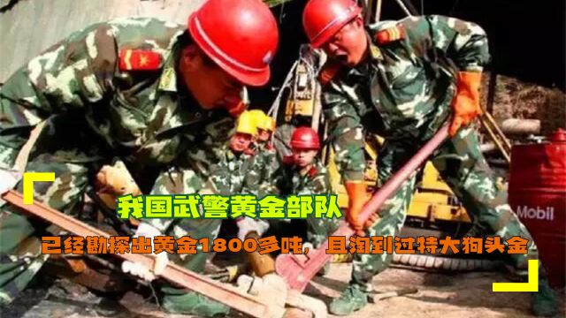 我国武警黄金部队:已经勘探出黄金1800多吨,且淘到过特大狗头金