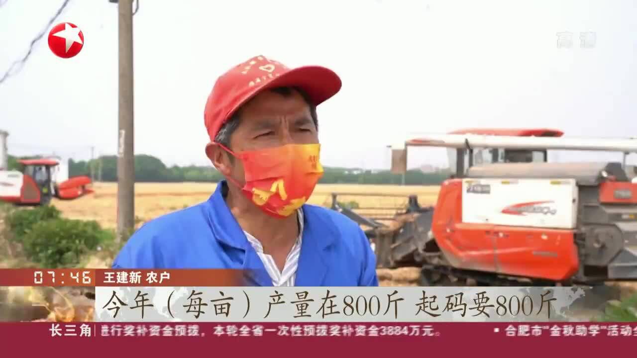 苏州:全力做好夏收入库工作 守住粮食质量安全