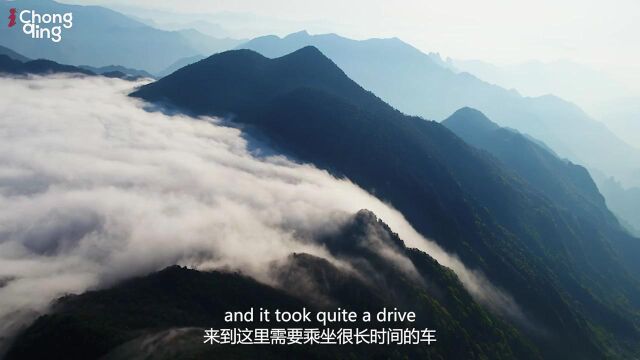 绿色正在成为“美丽中国”的鲜亮底色.位于大巴山东南段的阴条岭国家级自然保护区,被誉为“三峡的生态明珠”.重庆国际传播中心采访团队深入无人...