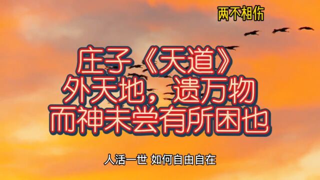 庄子《天道》:外天地,遗万物,而神未尝有所困也「两不相伤」