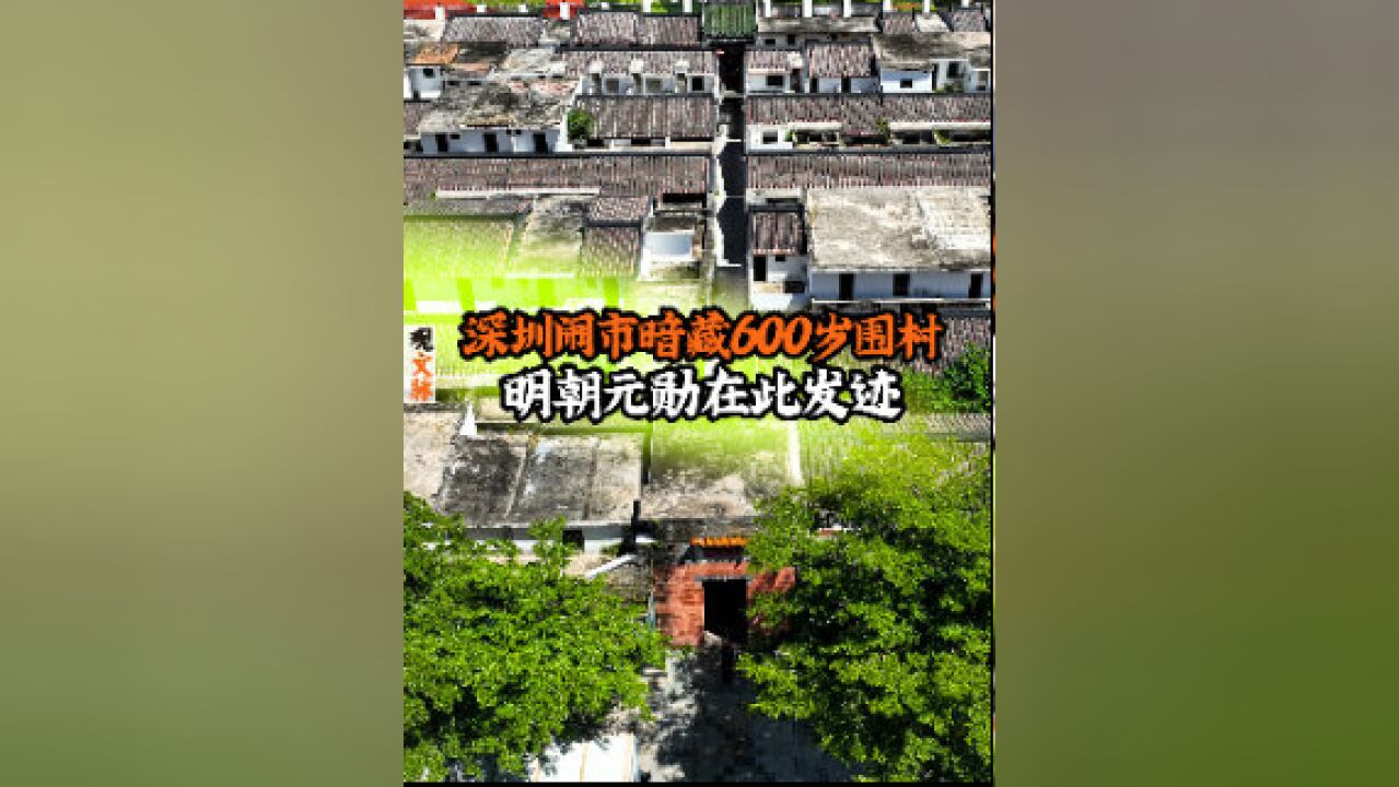 深圳闹市暗藏600岁围村,明朝元勋在此发迹成岭南霸主|观文脉