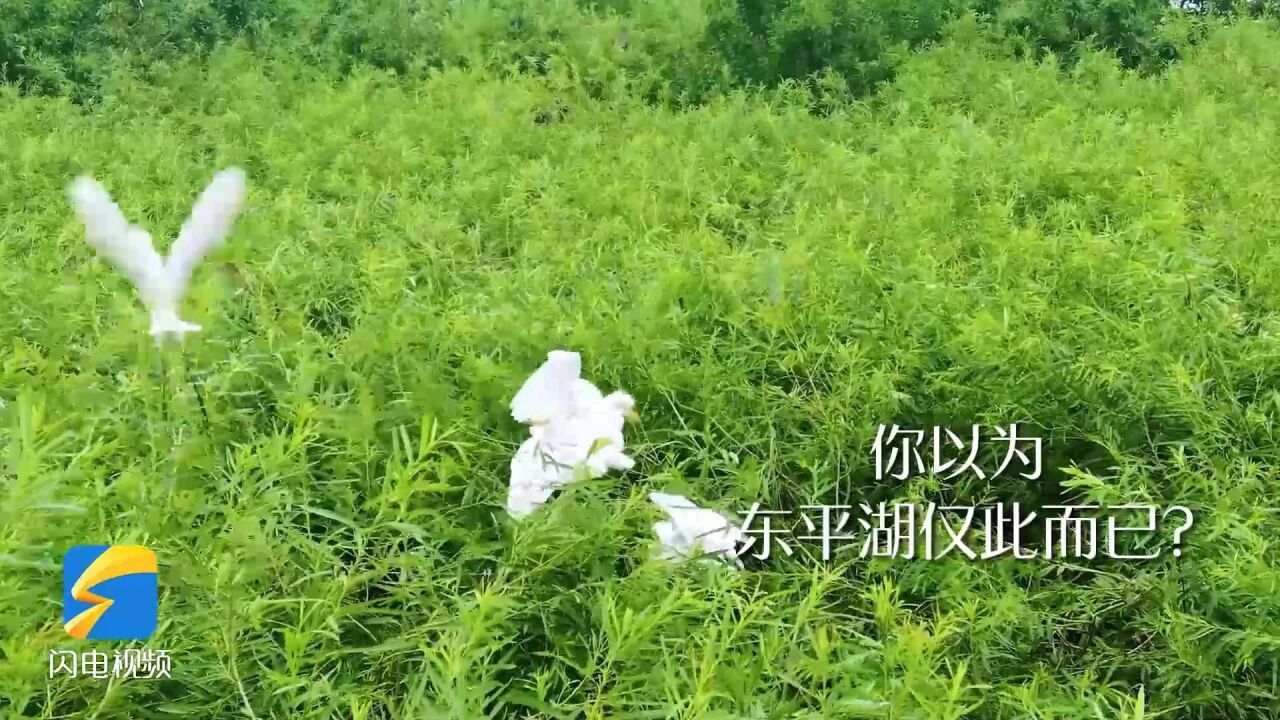 走在前 开新局丨北货南下必经的东平港航运实力感受一下