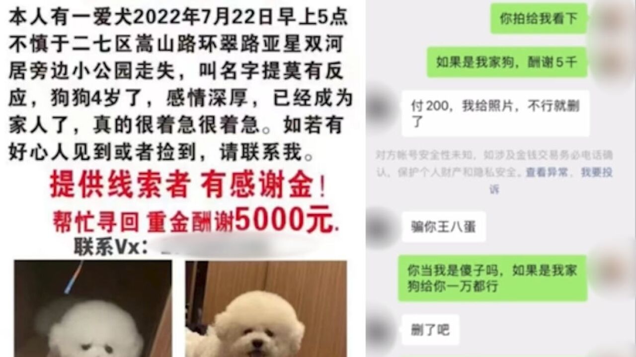 狗狗走失主人悬赏5000元寻狗遭遇“网络骗子”:给钱才给照片,一看就是骗子,很气愤