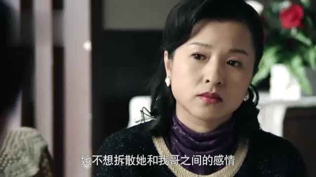 情满四合院:雨水说淮茹要跟儍柱离婚,晓娥不信,淮茹没那么大气伦理片