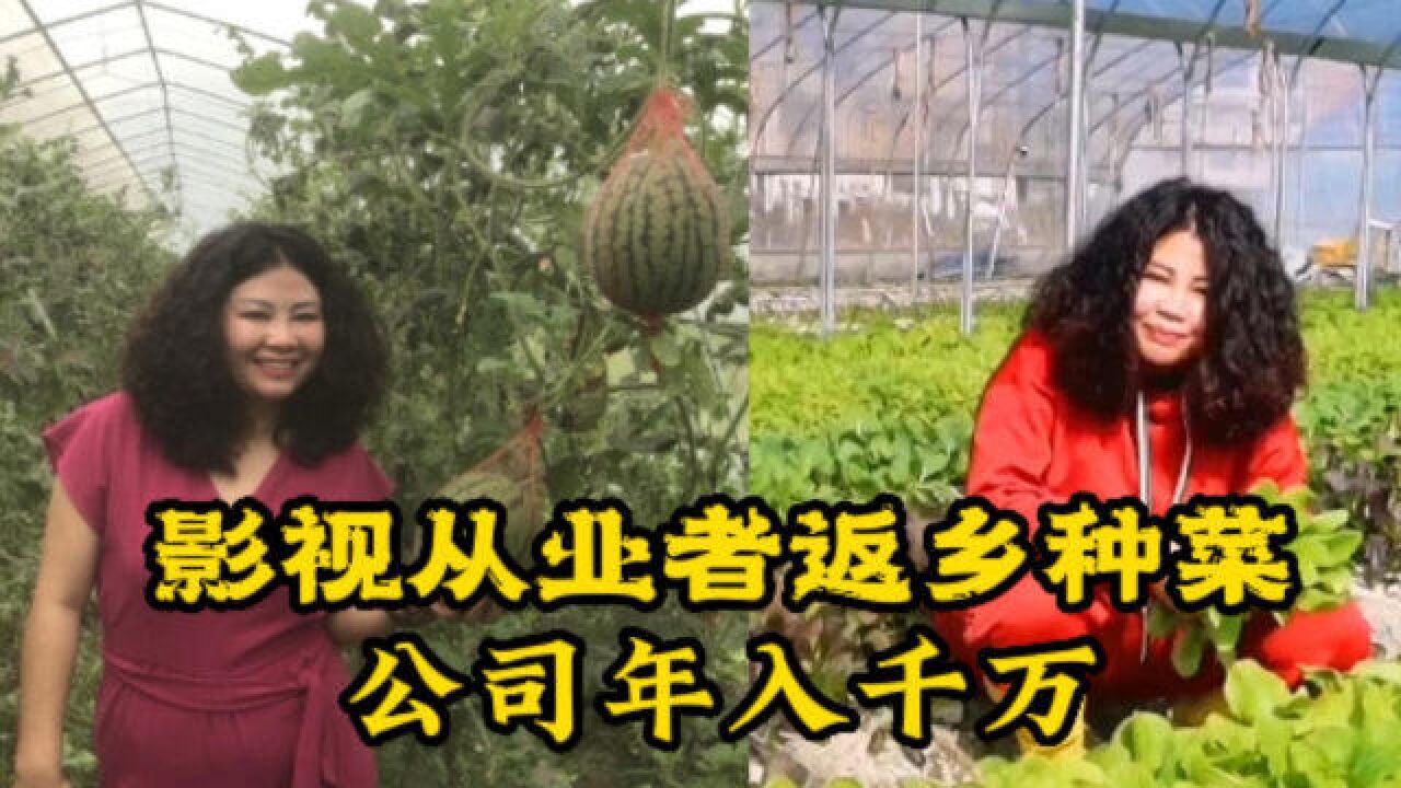 影视从业者返乡种菜公司年入千万