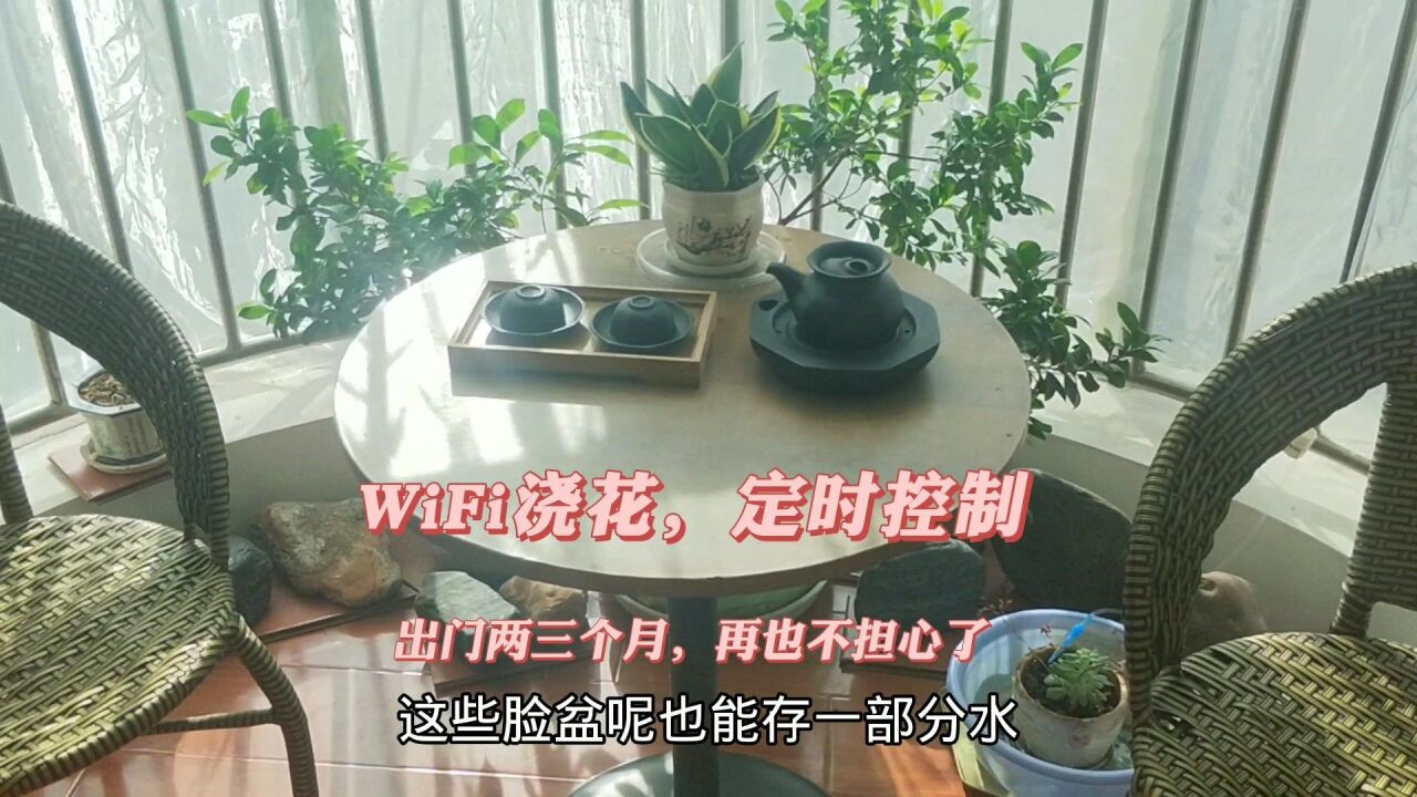 WiFi供水神器,自驾游两三个月,家里依然生机盎然