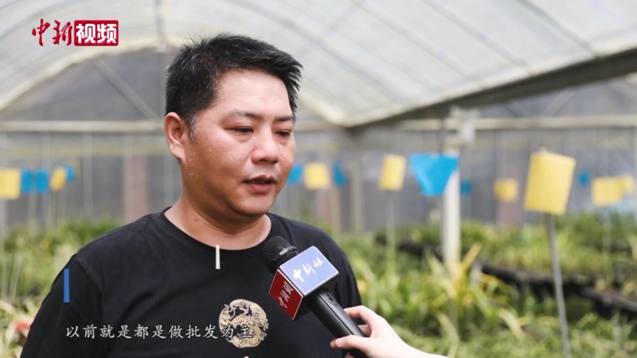 两岸婚姻芳兰牵线“护花使者”守望大陆情缘