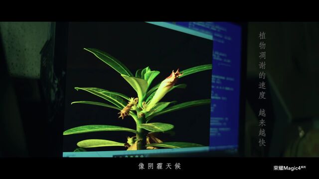 京东ⷩŸ𓤹计划MV登陆热搜!好音乐有更多机会被看到