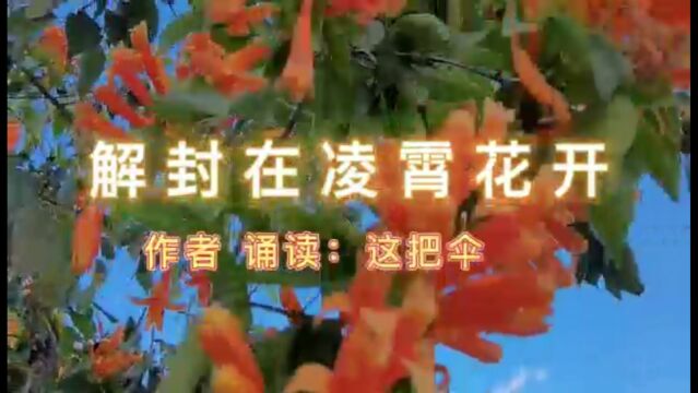 原创诗歌|解封在凌霄花开(诵读:这把伞)