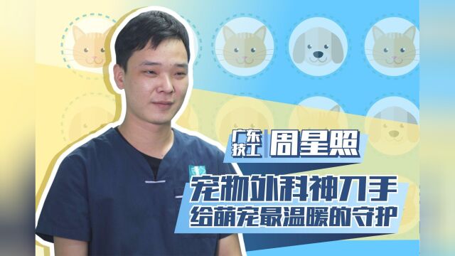 广东技工周星照:宠物外科神刀手,给萌宠最温暖的守护