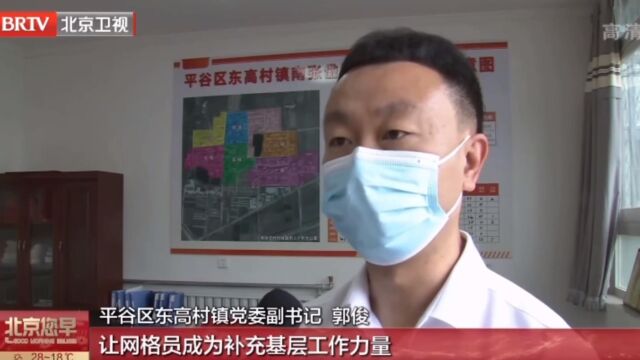 平谷区东高村镇“一员多能”聚合力 织就基层“微网格”治理模式 