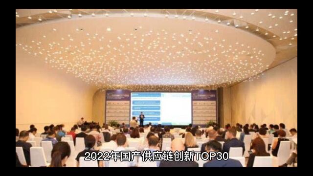 2022年国产供应链Top30