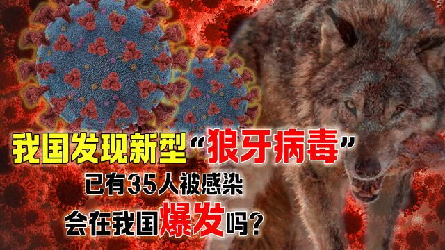 我国发现新型“狼牙病毒”,已有35人被感染,它来源于哪里?