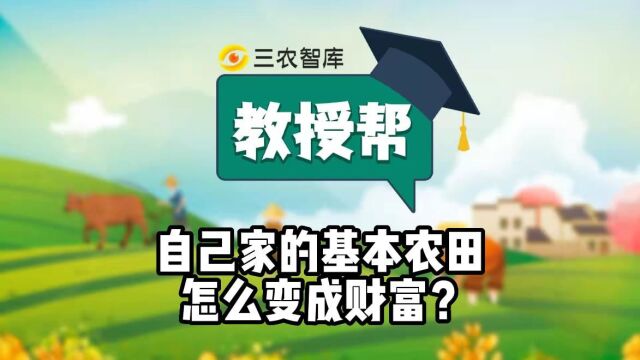 自己家的基本农田怎么变成财富?