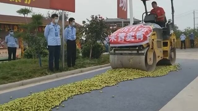 网传临猗用压路机销毁冬枣 当地:系有害不合格产品销毁后送养殖场