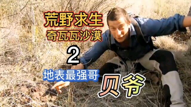 荒野求生奇瓦瓦沙漠系列地表最强哥贝爷2