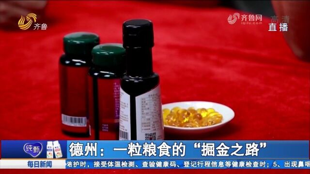 从“边角料”到“财富密码”!德州让每一粒粮食实现最大化利用