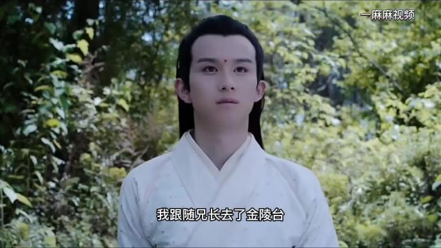 陈情令:番外篇魏婴不在的十六年,蓝湛的内心独白奇幻魔幻片