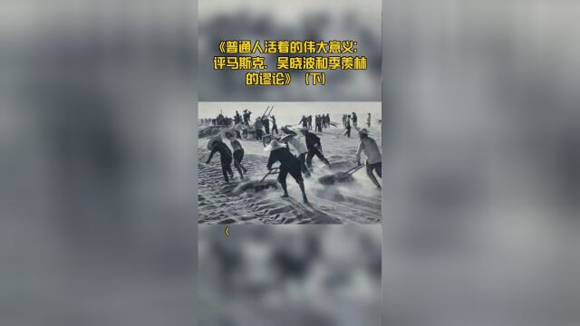 《普通人活着的伟大意义:评马斯克、吴晓波和季羡林的谬论》(下)