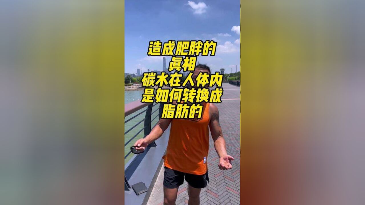 碳水在人体内如何转换成脂肪的#跑步 #减肥 #瘦肚子 #马甲线