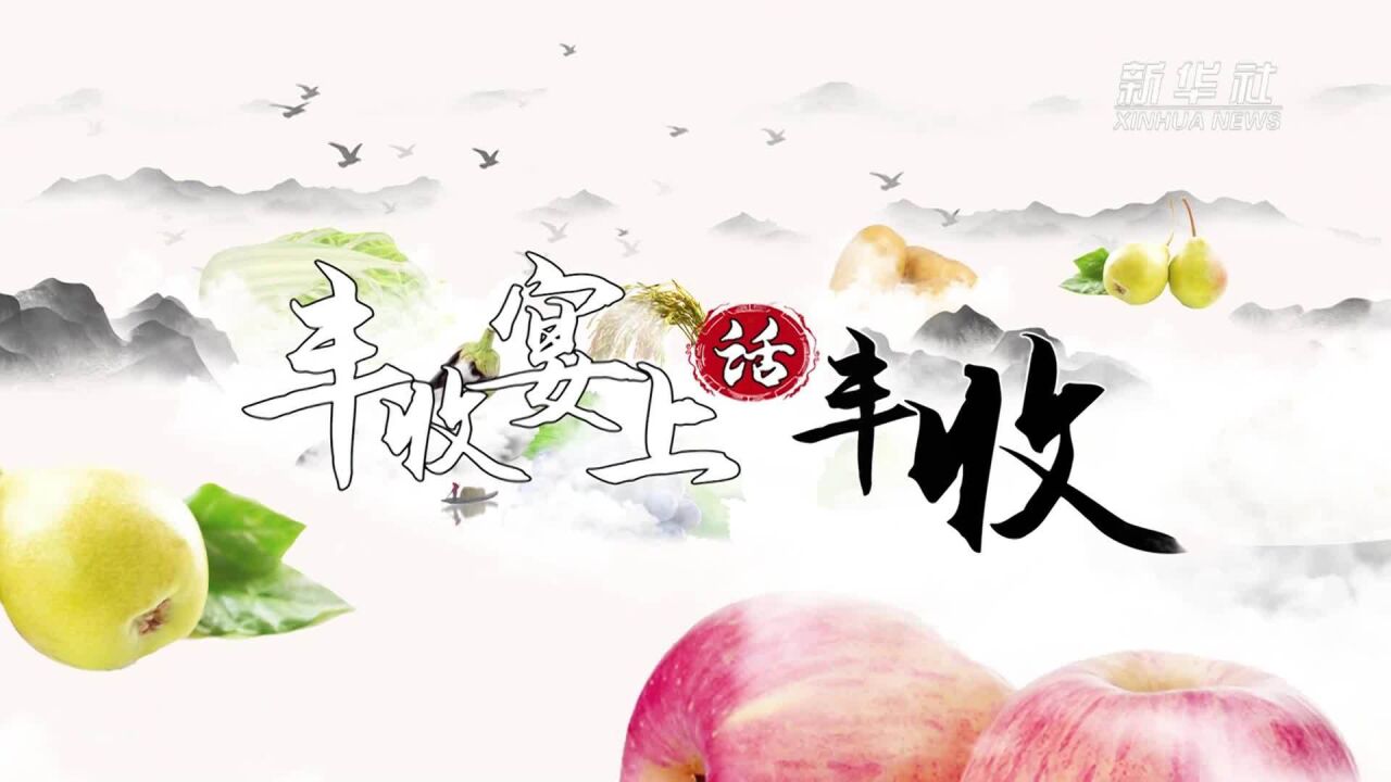 秋收见闻|辽宁开原:丰收宴上话丰收