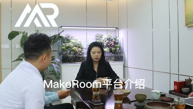 MakoRoom 平台介绍