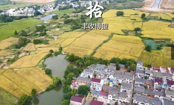 南京都市圈|马鞍山市博望区:一组“大片”带你走近马鞍山市2022年中国农民丰收节