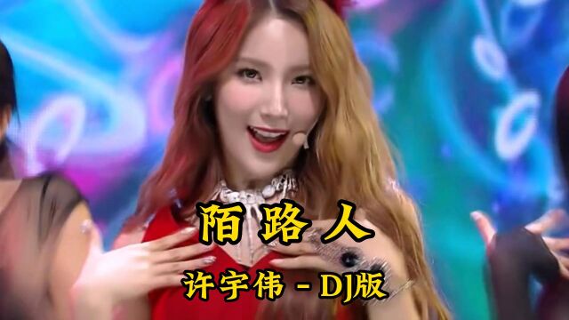 金典流行爆曲dj 好听的音乐嗨曲 车载韩国超级性感美女热舞《陌路人》