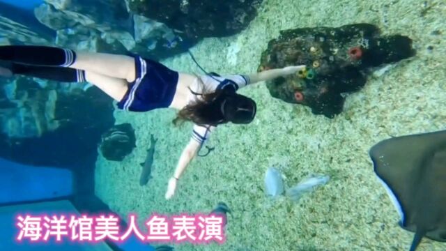 美人鱼表演现场