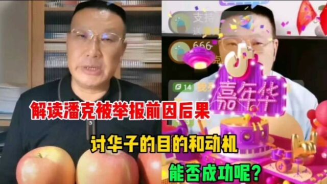 解读潘克被举报前因后果,讨华子有何目的和动机,能否成功呢?