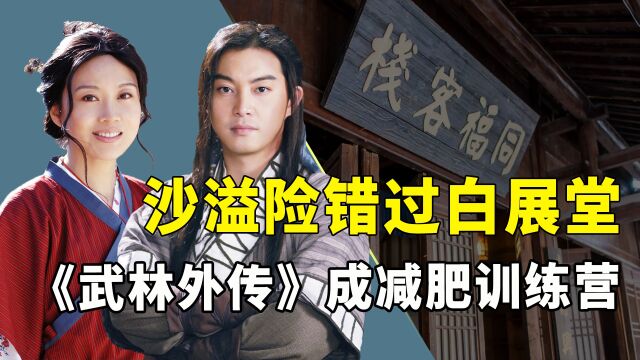 《武林外传》幕后,闫妮不看剧本就接戏,沙溢因太胖险错过白展堂