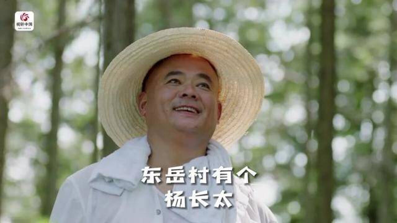 第9集 东岳村有个杨长太