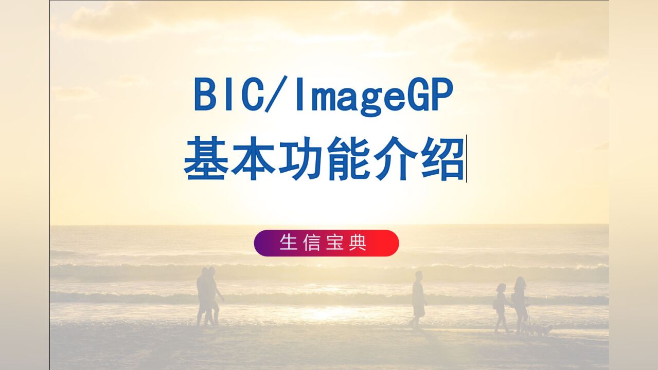 高颜值免费在线 SCI 绘图工具(BIC/ImageGP)001基本功能介绍