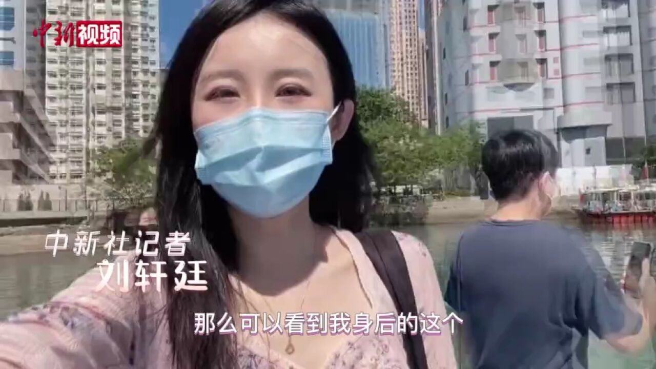 【小新的Vlog】乘“水上的士”看渔民生活带你游玩避风塘