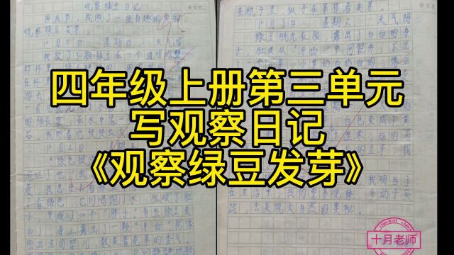 学生优秀作文:写观察日记《观察绿豆发芽日记》